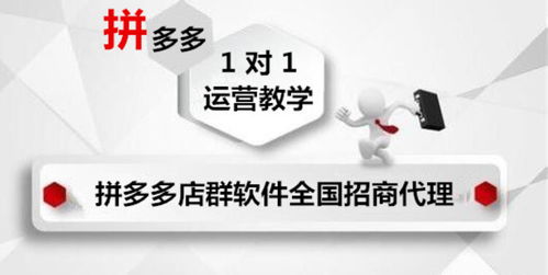 大象拼多多店群軟件代理 湖北軟件開發(fā)服務至上